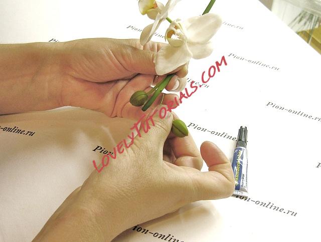 Название: 63.JPG
Просмотров: 1

Размер: 100.9 Кб