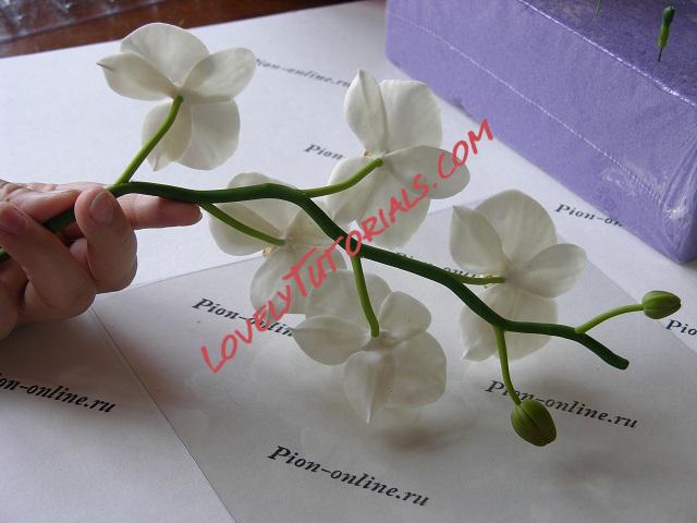 Название: 64.JPG
Просмотров: 1

Размер: 89.3 Кб