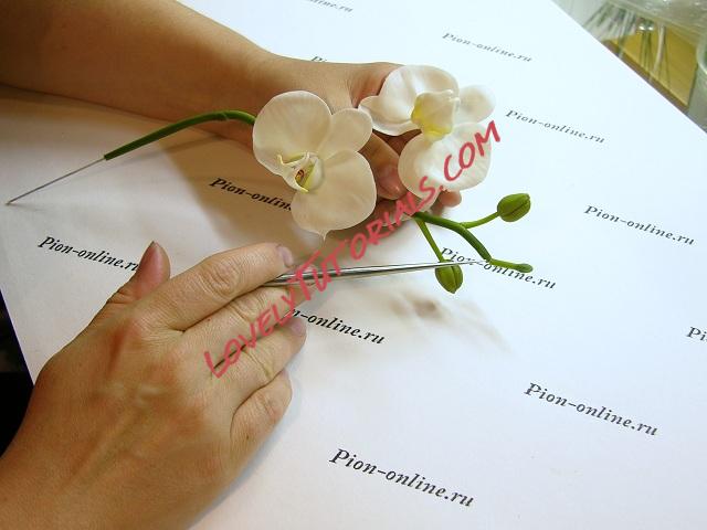 Название: 66.JPG
Просмотров: 0

Размер: 93.6 Кб