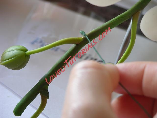 Название: 69.JPG
Просмотров: 0

Размер: 64.2 Кб