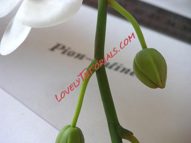 Название: 70.JPG
Просмотров: 0

Размер: 54.6 Кб