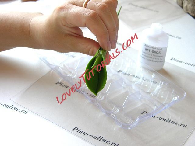 Название: 79.JPG
Просмотров: 0

Размер: 90.4 Кб