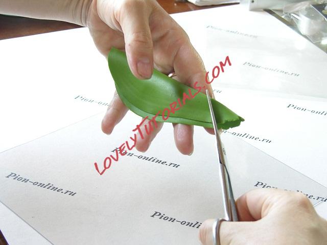 Название: 80.JPG
Просмотров: 0

Размер: 84.4 Кб