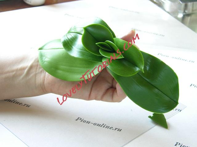 Название: 81.JPG
Просмотров: 0

Размер: 84.5 Кб