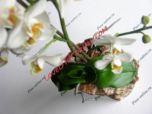 Название: 90.JPG
Просмотров: 0

Размер: 86.4 Кб