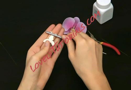 Название: 11.jpg
Просмотров: 0

Размер: 31.4 Кб