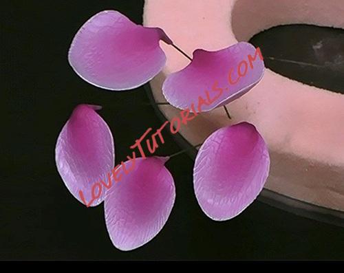 Название: 52.jpg
Просмотров: 0

Размер: 50.4 Кб