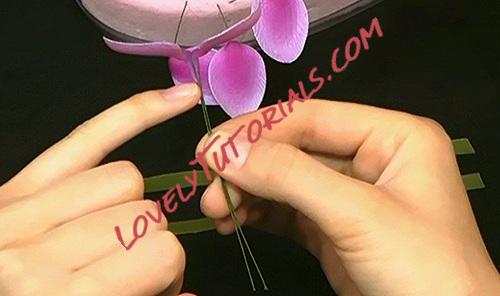 Название: 58.jpg
Просмотров: 0

Размер: 42.8 Кб