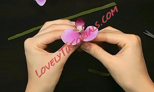 Название: 60.jpg
Просмотров: 0

Размер: 40.7 Кб