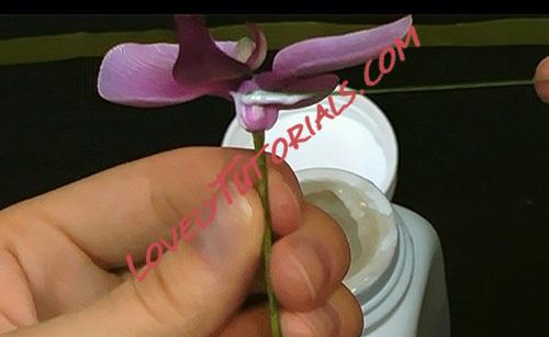 Название: 66.jpg
Просмотров: 0

Размер: 41.7 Кб