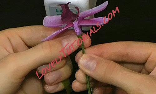 Название: 67.jpg
Просмотров: 0

Размер: 45.4 Кб