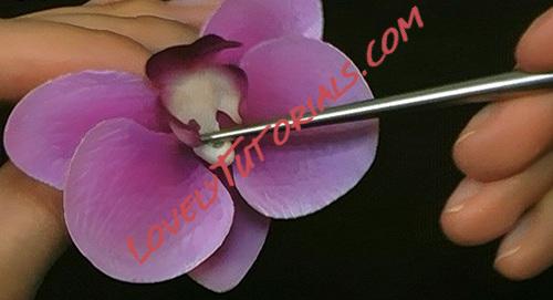 Название: 70.jpg
Просмотров: 0

Размер: 39.4 Кб