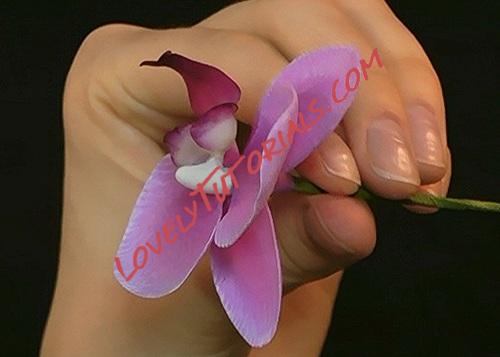 Название: 71.jpg
Просмотров: 0

Размер: 45.1 Кб