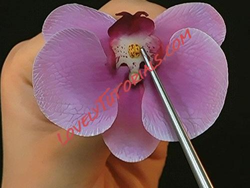 Название: 72.jpg
Просмотров: 0

Размер: 55.7 Кб