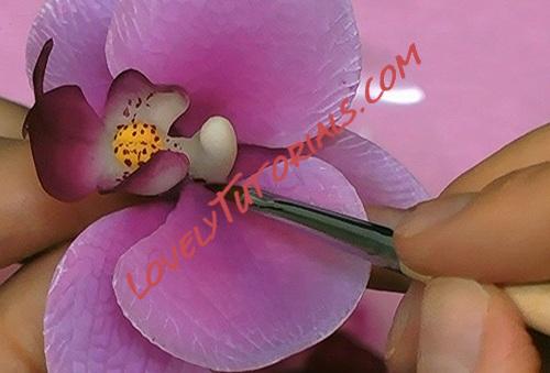 Название: 78.5.jpg
Просмотров: 0

Размер: 50.8 Кб