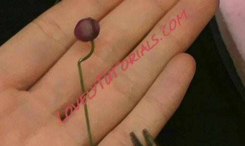 Название: 97.jpg
Просмотров: 0

Размер: 38.5 Кб