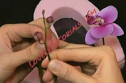 Название: 100.jpg
Просмотров: 0

Размер: 52.5 Кб