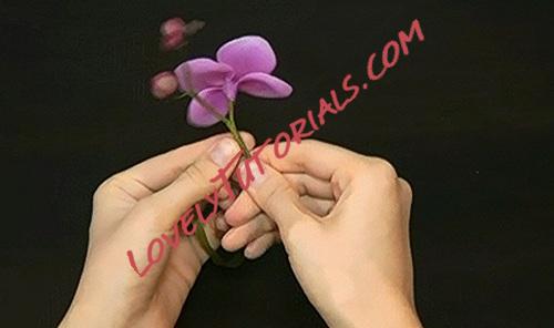 Название: 102.jpg
Просмотров: 0

Размер: 35.1 Кб