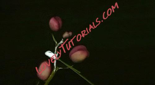 Название: 103.jpg
Просмотров: 0

Размер: 25.6 Кб