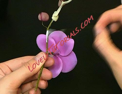 Название: 107.jpg
Просмотров: 0

Размер: 52.7 Кб