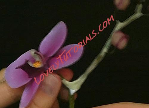 Название: 109.jpg
Просмотров: 0

Размер: 44.2 Кб