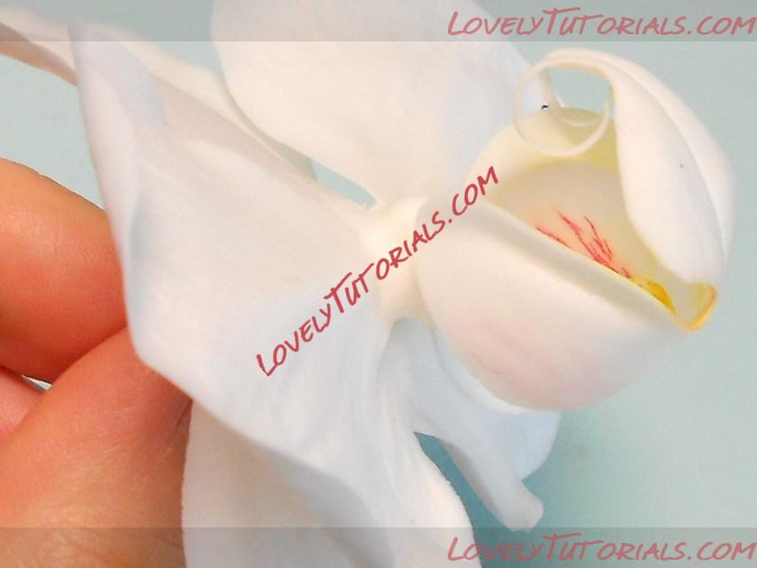 Название: 1.jpg
Просмотров: 0

Размер: 68.2 Кб