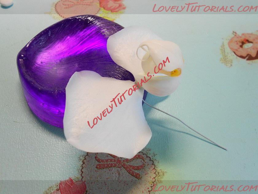 Название: 10.jpg
Просмотров: 0

Размер: 114.3 Кб