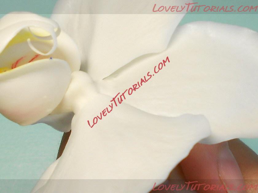 Название: 16.jpg
Просмотров: 0

Размер: 62.0 Кб