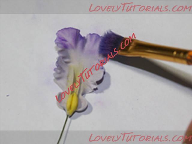 Название: 11.jpg
Просмотров: 0

Размер: 14.9 Кб