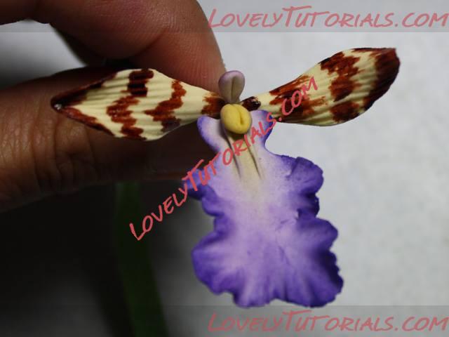 Название: 19.jpg
Просмотров: 0

Размер: 22.1 Кб