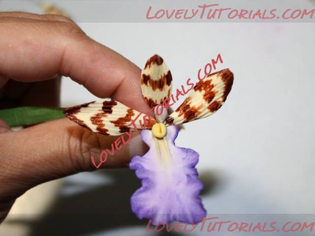 Название: 20.jpg
Просмотров: 0

Размер: 24.0 Кб