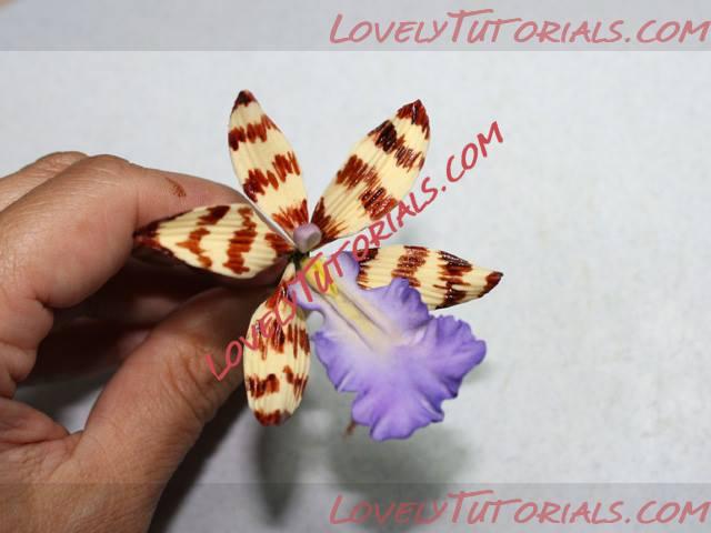 Название: 21.jpg
Просмотров: 0

Размер: 25.7 Кб