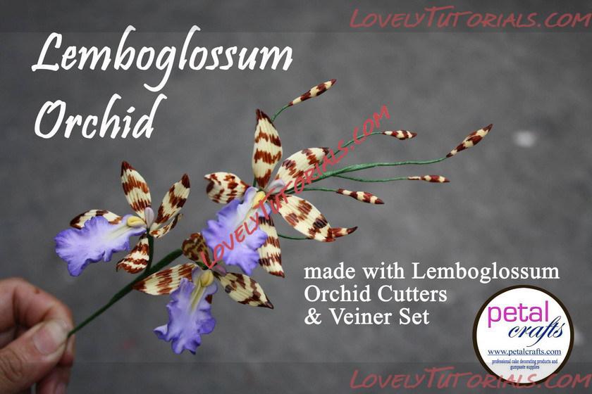 Название: 23.jpg
Просмотров: 0

Размер: 103.4 Кб