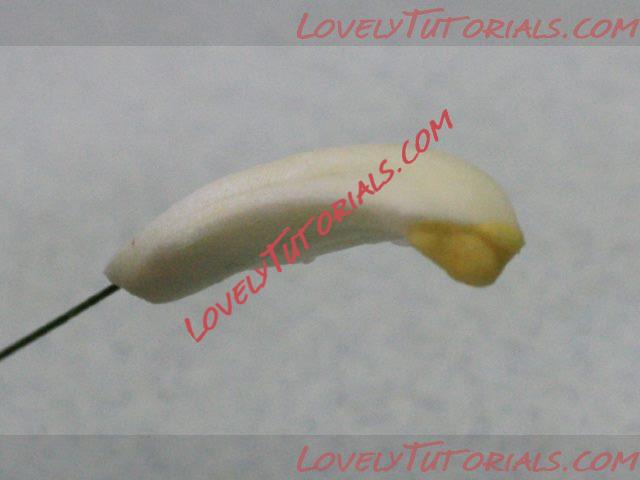 Название: 20.jpg
Просмотров: 0

Размер: 20.2 Кб