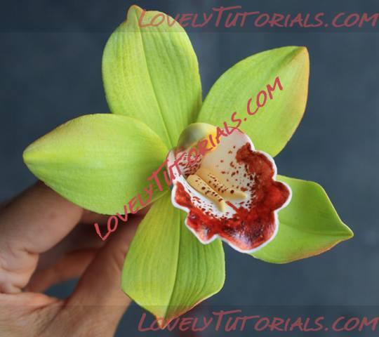 Название: 1899925_10151876788511759_698298971_n.jpg
Просмотров: 0

Размер: 23.0 Кб