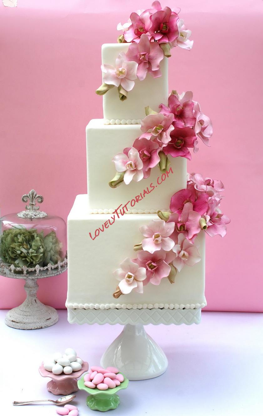 Название: 1_0.jpg
Просмотров: 0

Размер: 199.2 Кб