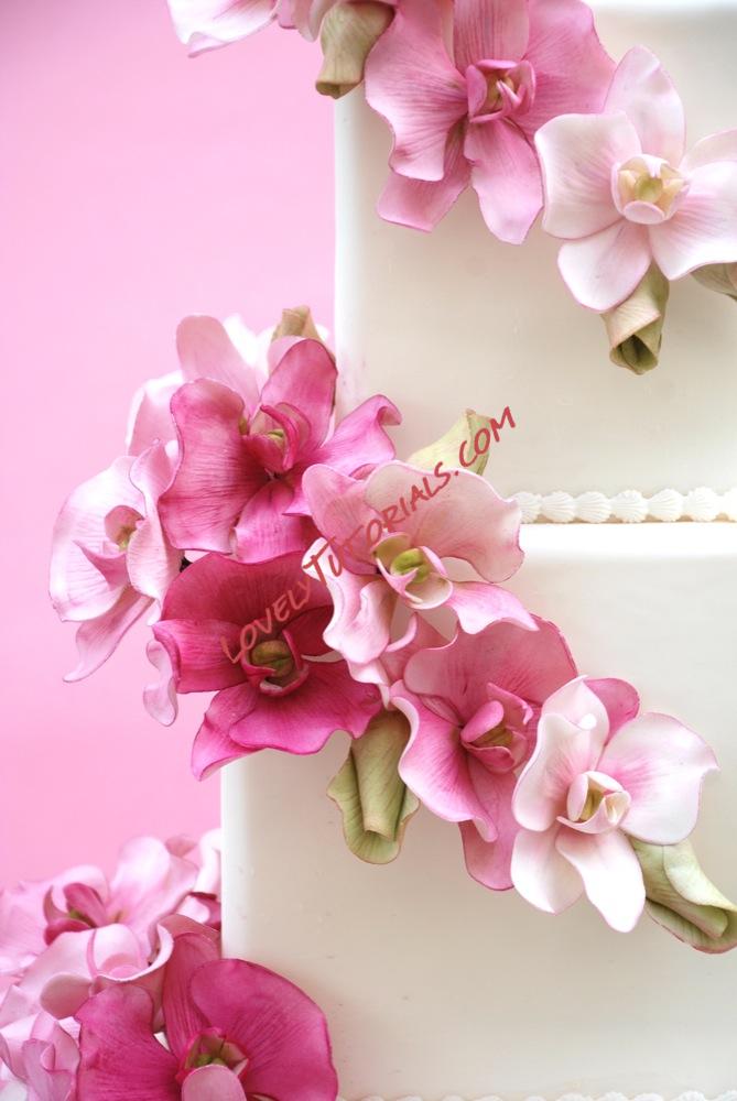 Название: 3.jpg
Просмотров: 0

Размер: 133.5 Кб