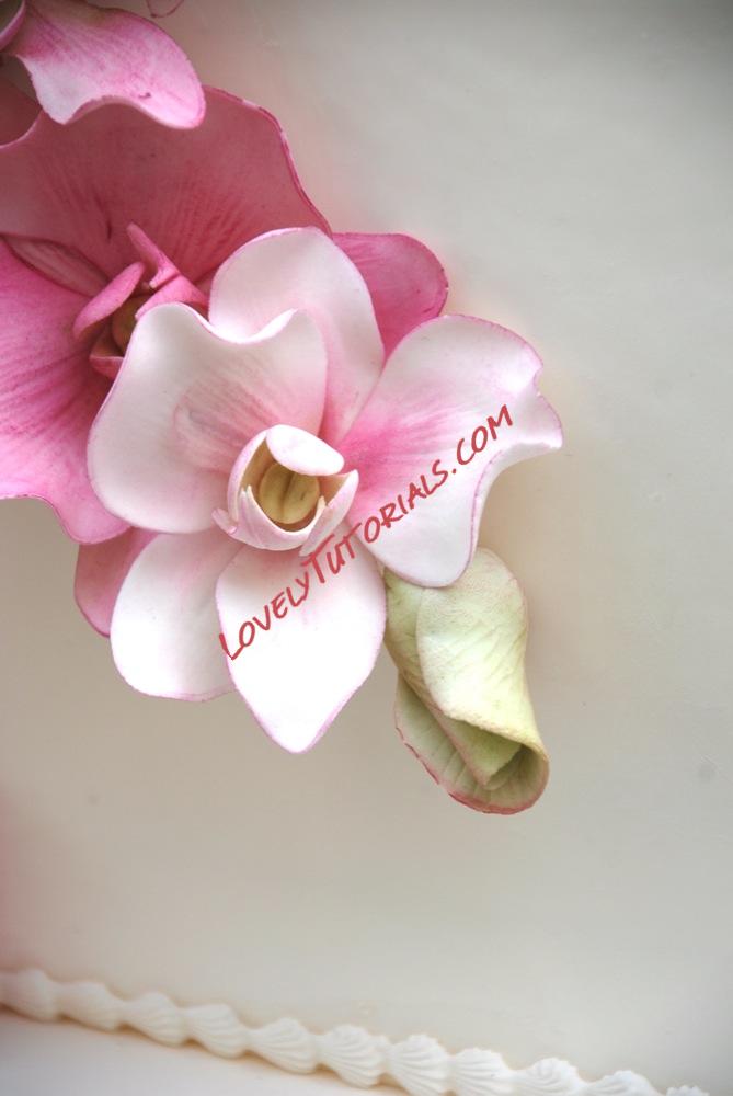 Название: 4.jpg
Просмотров: 0

Размер: 100.3 Кб