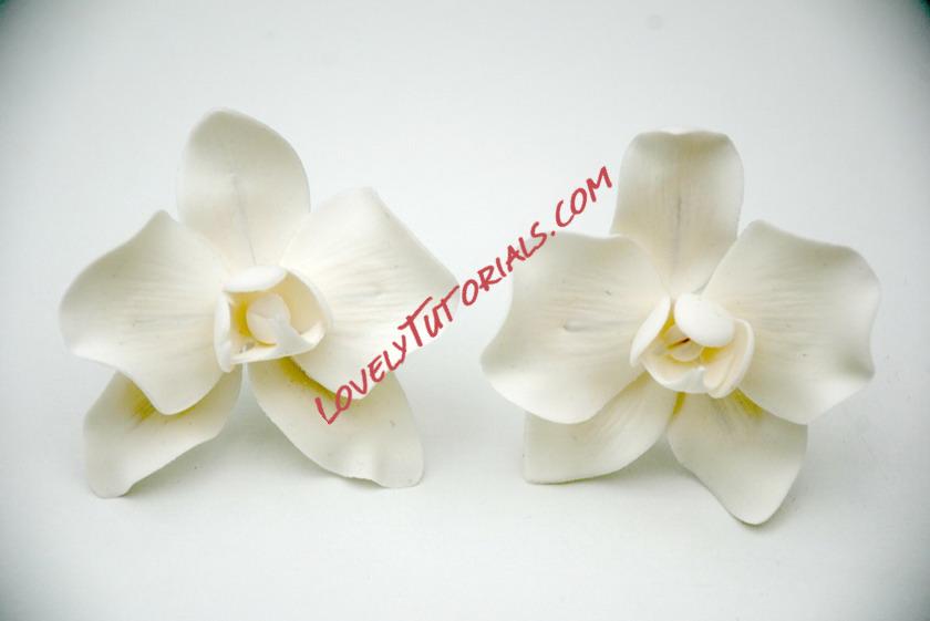 Название: 5.jpg
Просмотров: 0

Размер: 55.4 Кб