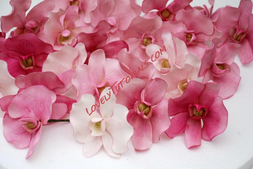 Название: 7.jpg
Просмотров: 0

Размер: 111.5 Кб