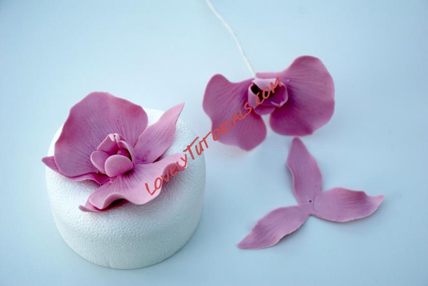 Название: 12.jpg
Просмотров: 0

Размер: 65.9 Кб