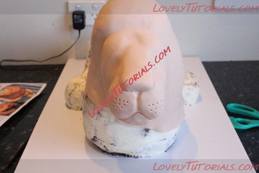 Название: lion cake tutorial_09.jpg
Просмотров: 1

Размер: 85.8 Кб