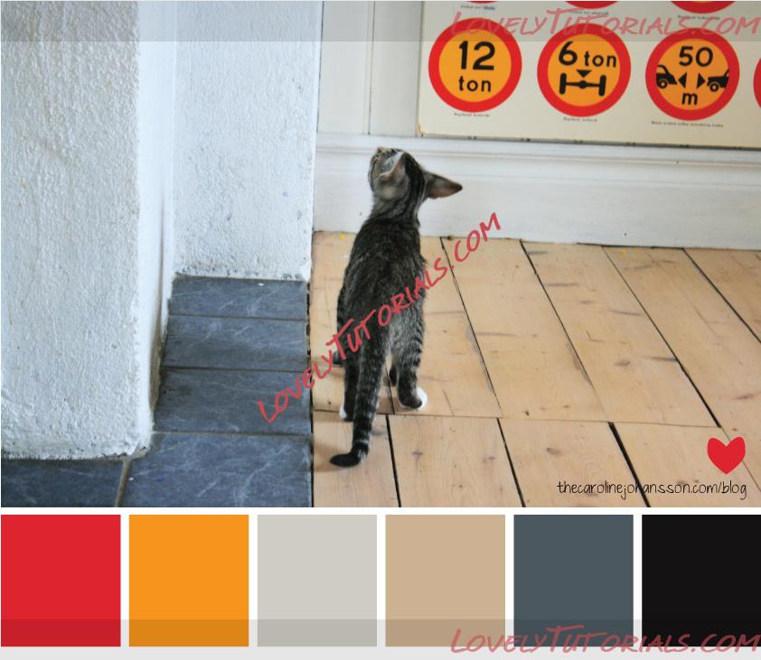 Название: color-palette-kitty-grey-beige-red-orange.jpg
Просмотров: 5

Размер: 472.9 Кб