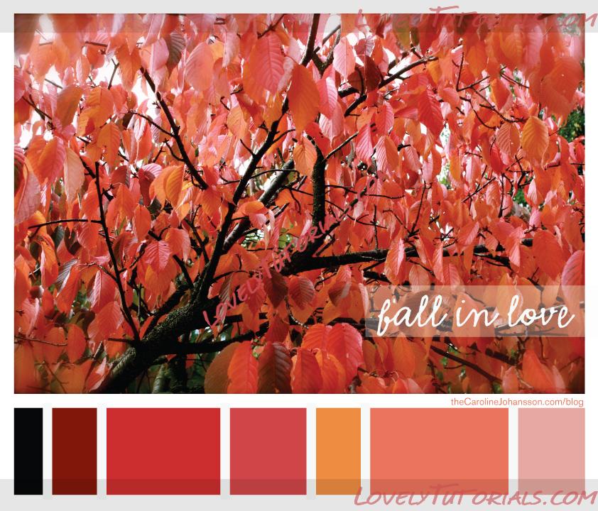 Название: fall-in-love-color-palette.jpg
Просмотров: 13

Размер: 632.9 Кб