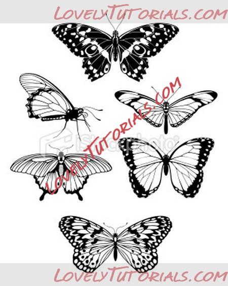 Название: stock-illustration-15753281-beautiful-stylised-butterfly-outline-silhouettes.jpg
Просмотров: 2

Размер: 57.8 Кб