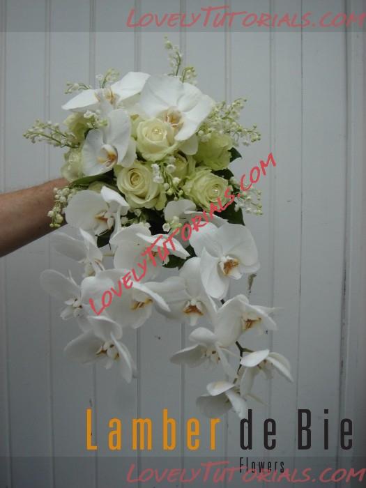 Название: white flowers 20.jpg
Просмотров: 0

Размер: 144.7 Кб