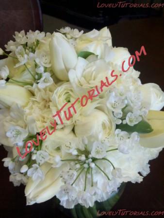 Название: white flowers 22.jpg
Просмотров: 0

Размер: 36.5 Кб