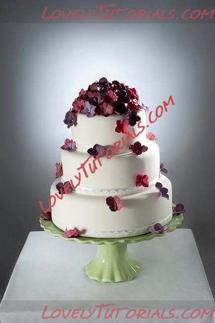 Название: Bows and Butterflies cake design.jpg
Просмотров: 0

Размер: 89.2 Кб