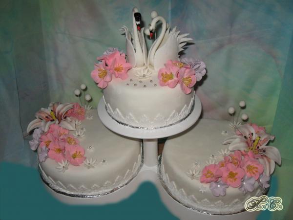 Изображение 478