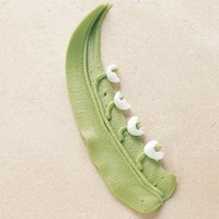 lily of the valley techniquezoom main